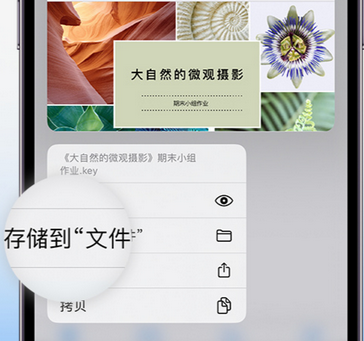 江山apple维修中心分享iPhone文件应用中存储和找到下载文件