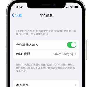 江山apple服务站点分享iPhone上个人热点丢失了怎么办 