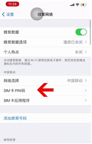 江山苹果14维修网分享如何给iPhone14的SIM卡设置密码 