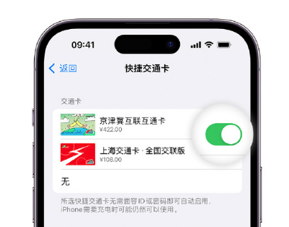 江山apple维修点分享iPhone上更换Apple Pay快捷交通卡手绘卡面 