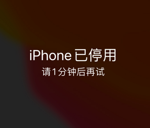 江山苹果手机维修分享:iPhone 显示“不可用”或“已停用”怎么办？还能保留数据吗？ 