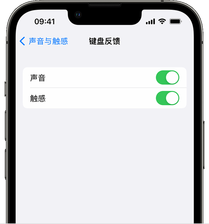 江山苹果14维修店分享如何在 iPhone 14 机型中使用触感键盘 