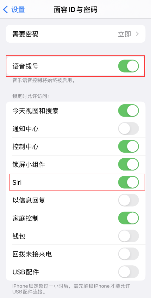 江山苹果维修网点分享不解锁 iPhone 的情况下通过 Siri 拨打电话的方法 