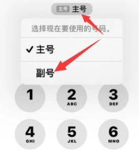 江山苹果14维修店分享iPhone 14 Pro Max使用副卡打电话的方法 