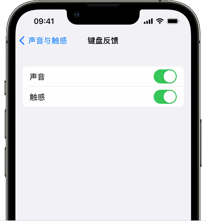 江山苹果14维修分享iPhone 14 系列机型如何开启键盘声音或触感反馈 