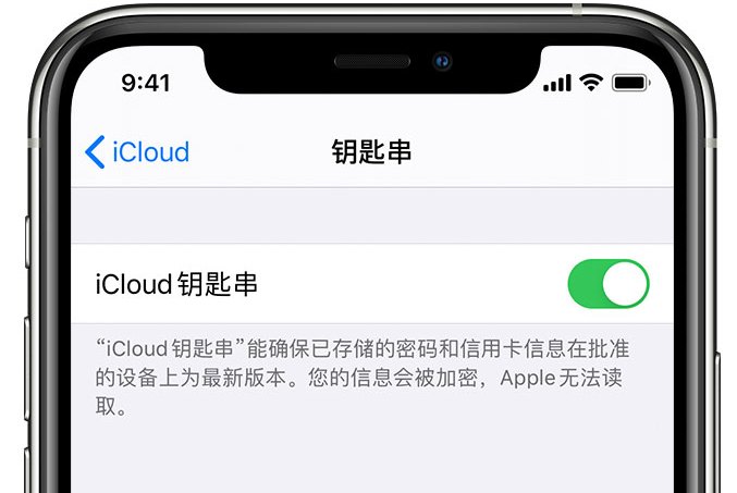 江山苹果手机维修分享在 iPhone 上开启 iCloud 钥匙串之后会储存哪些信息 