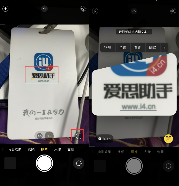 江山苹果手机维修分享升级iOS 16后如何通过相机翻译文本 