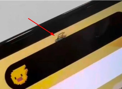 江山苹果14维修分享iPhone 14 Pro Max灵动岛怎么养宠物 