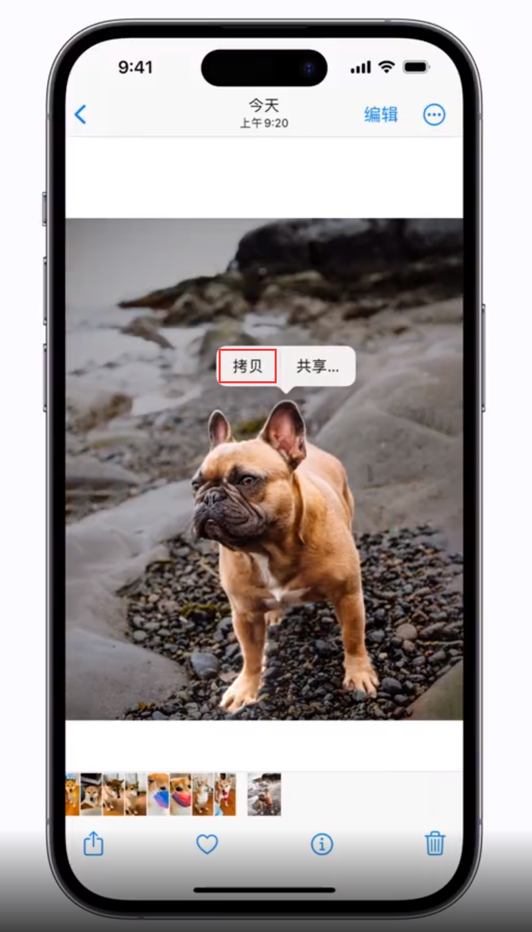 江山苹果手机维修分享 iOS 16 自带一键抠图功能 