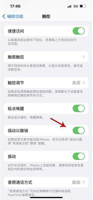 江山苹果手机维修分享iPhone手机如何设置摇一摇删除文字 