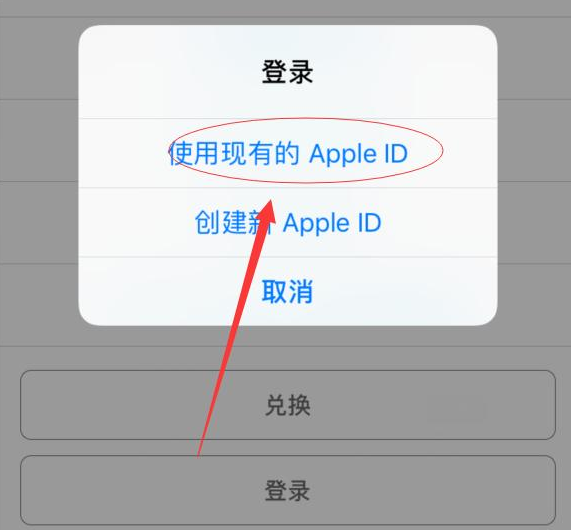 江山苹果手机维修分享两台iPhone设备可以同时登录一个Apple ID吗 