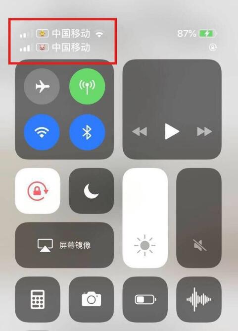 江山苹果手机维修分享为 iPhone 12 双卡设置标签 