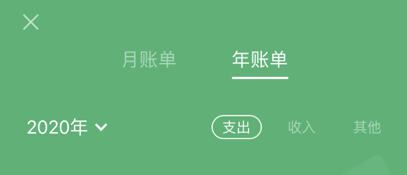 江山苹果手机维修分享如何在 iPhone 上查看支付宝和微信年支出账单 